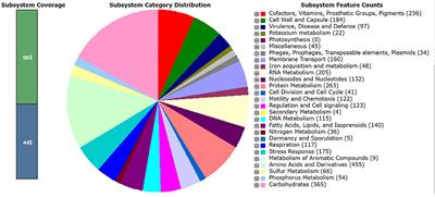 Whole genome analysis for plant growth promotion profiling of <mark class="highlighted">Pantoea</mark> agglomerans CPHN2, a non-rhizobial nodule endophyte